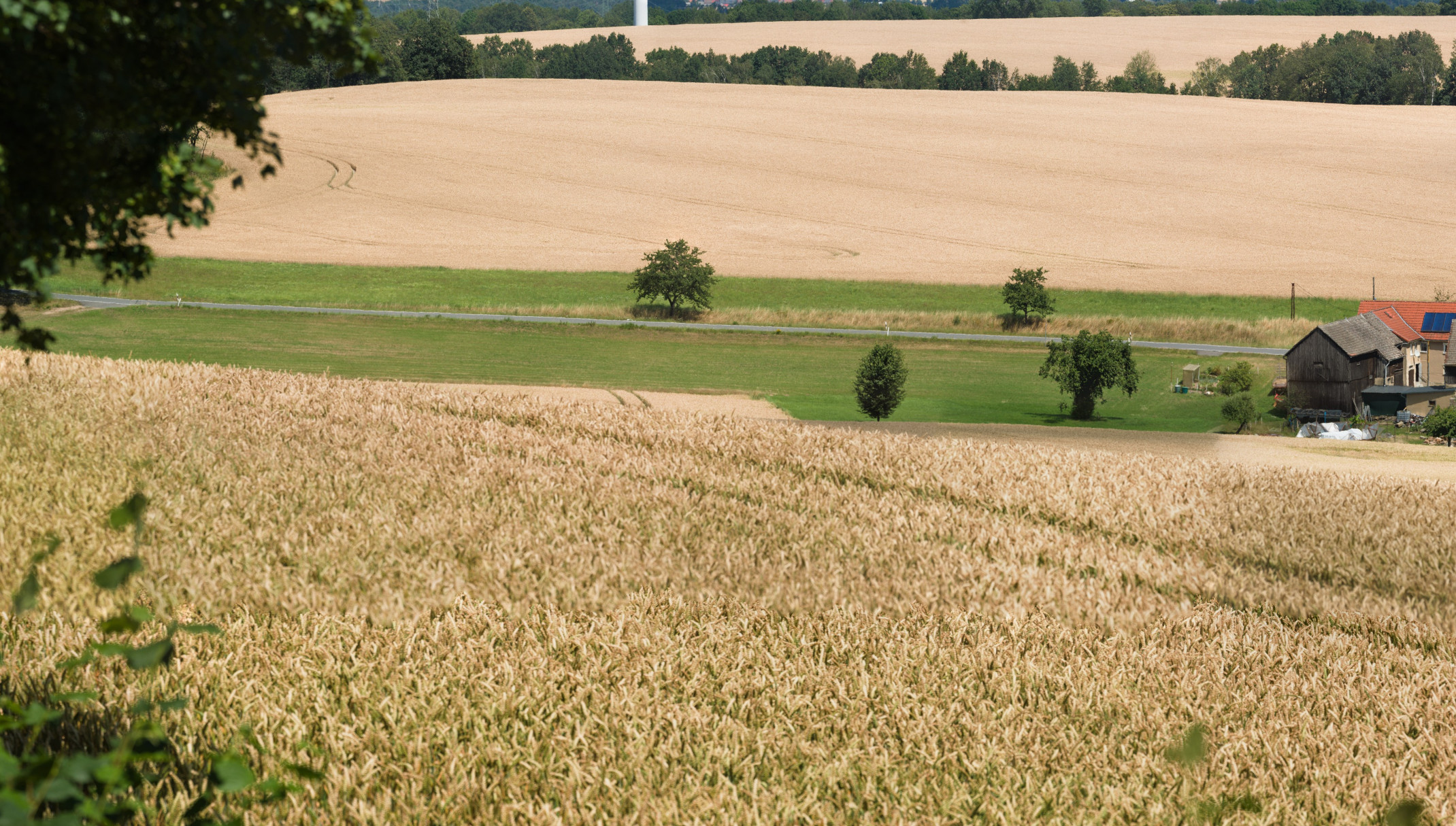 Blick von der Jagdhütte am Butterberg